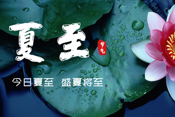 91视频成人APP下载木業 | 盛夏已至,滿目繁華